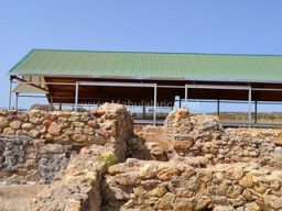 Yacimiento de Villaricos 2014